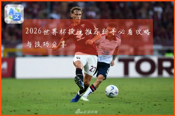 2026世界杯投注推荐新手必看攻略与技巧分享